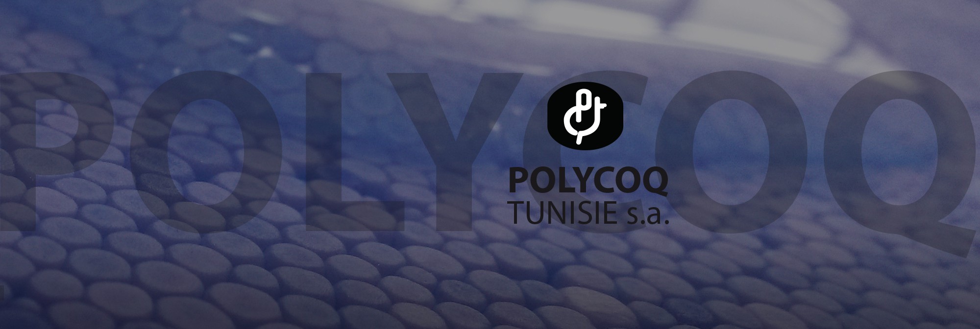 polycoq